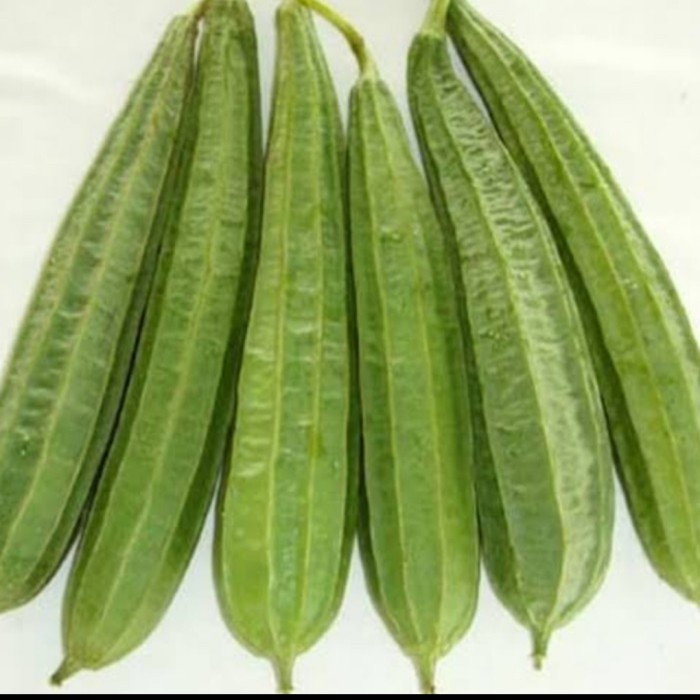 

OYONG LOKAL BANDUNG - 1 kg