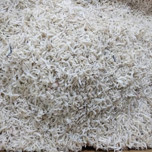 

IKAN TERI NASI PUTIH