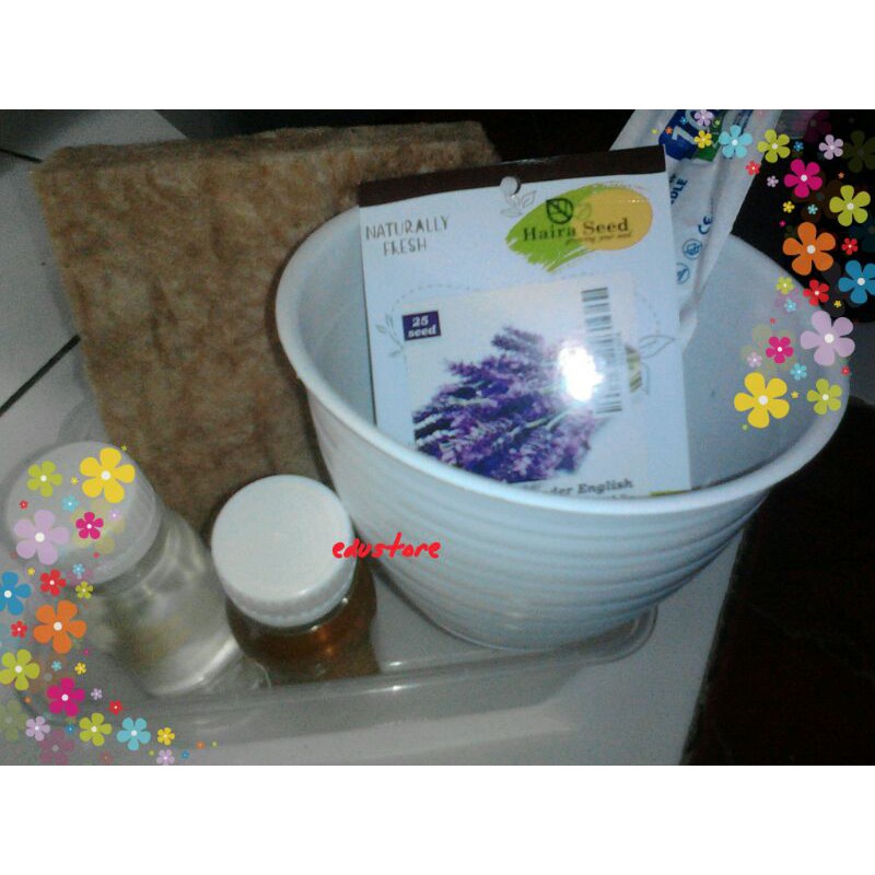 

Paket Hidroponik Bunga Lavender Pot Tawon 12 cm