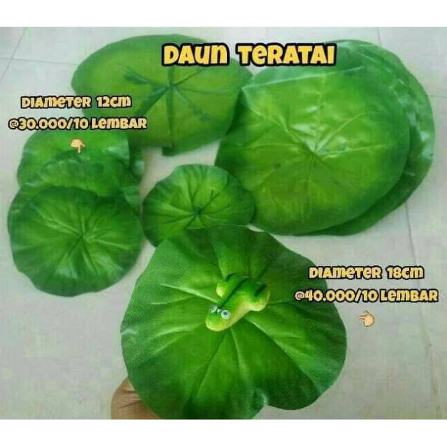 Daun Teratai