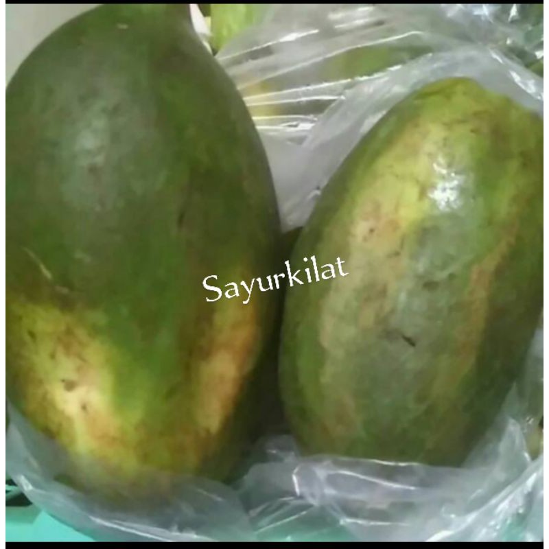 

pepaya muda sedang / pcs