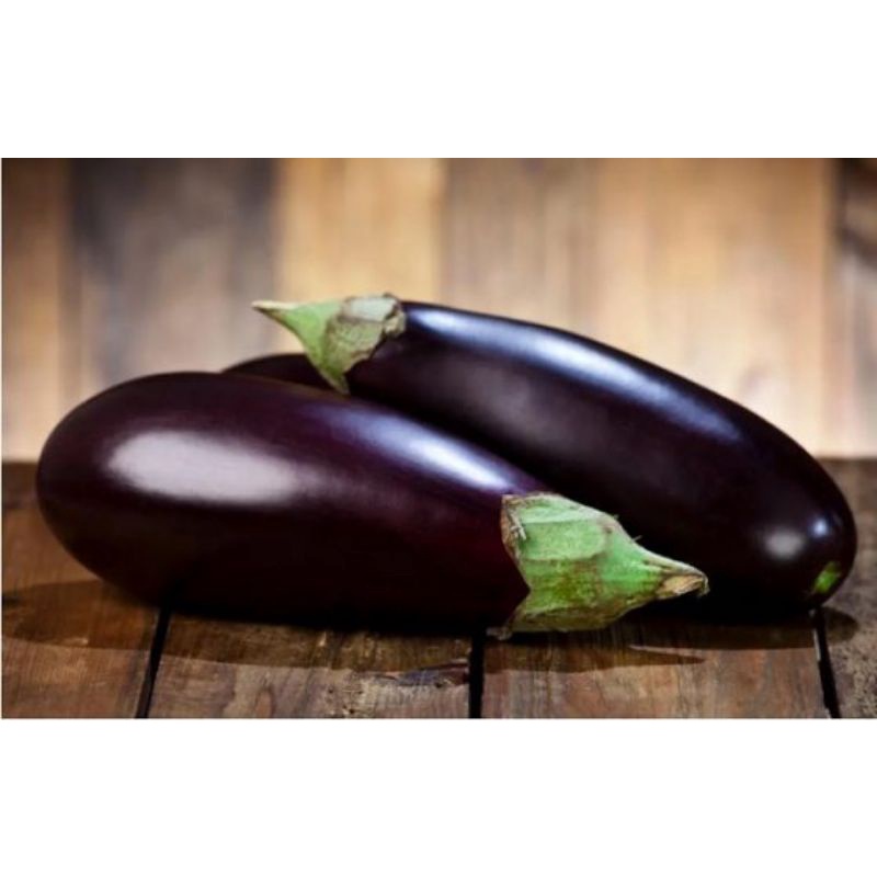 

Terong Ungu (Bakulsayuronline)