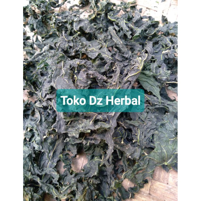 

Daun gedi daun pepaya jepang kering 100 gram-az