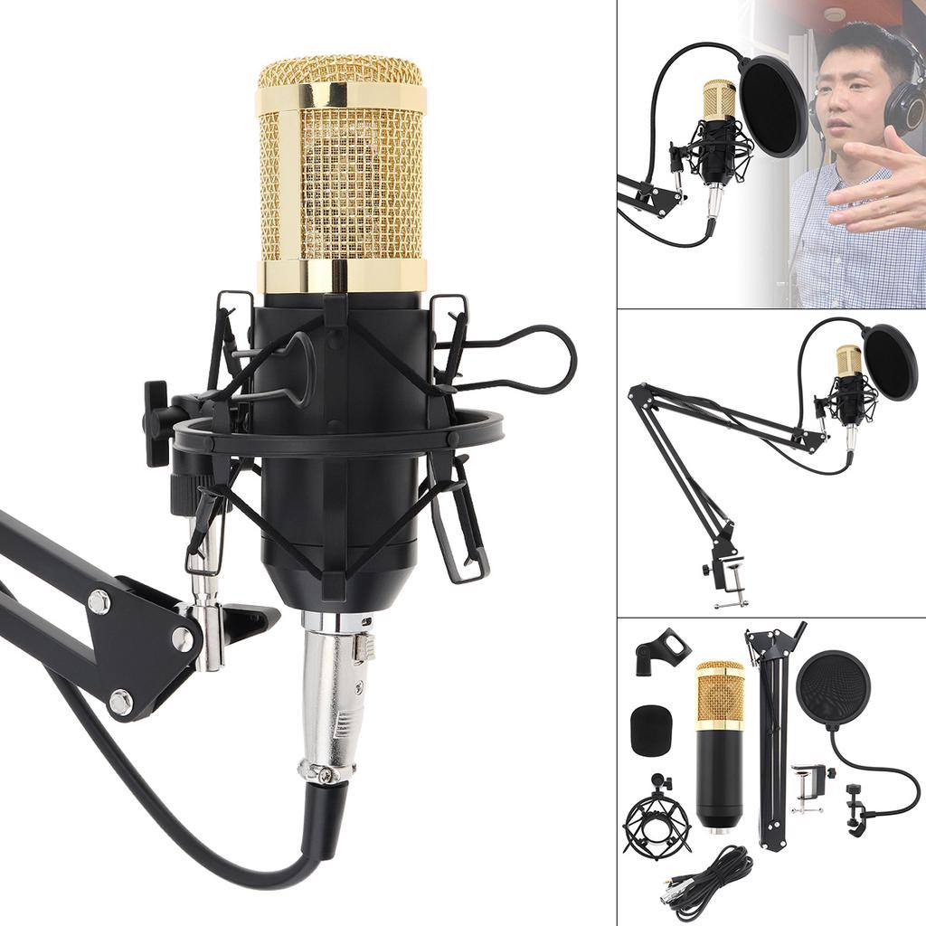 Microphone Studio Kit Profesional Condenser Broadcasting Recording Mic