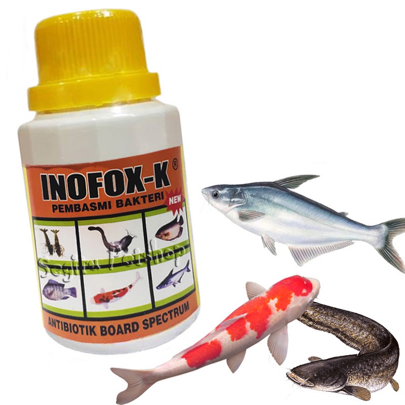 INOFOX K OBAT JAMUR IKAN MAS NILA GURAME PATIN LELE KOI ANTI VIRUS