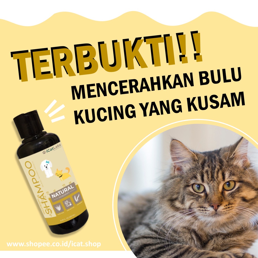 Shampoo Mencerahkan Bulu Kucing / Vitamin Kucing / Obat Kucing 