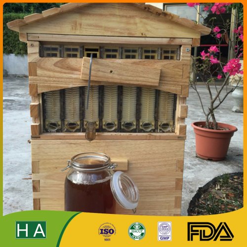 

Flow hive bee honey promo extra lengkap promo khusus