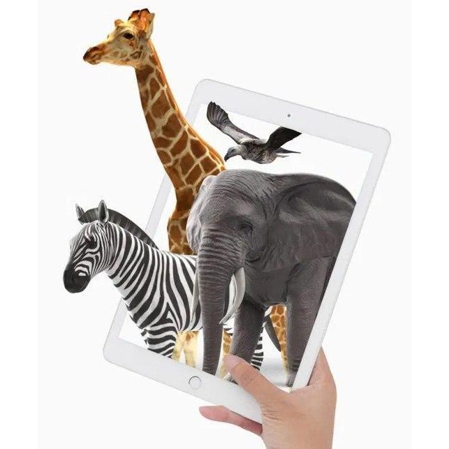 FLASHCARD 4D+ ANIMAL ALPHABET & ANIMALS FOOD (WITH 4D+ AR ANIMATION)