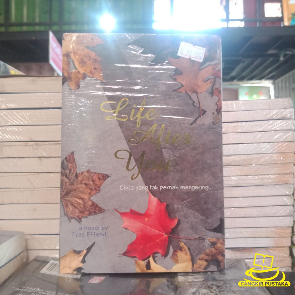 Novel - Life after You