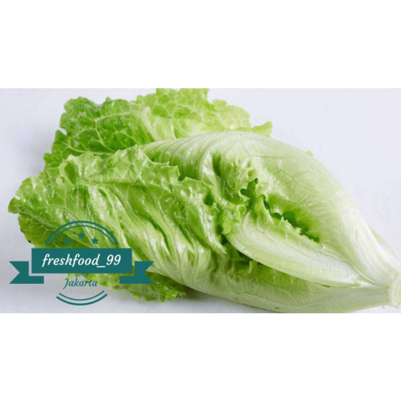 

sayuran segar daun selada / selada keriting 250 gram sayur murah sayur segar