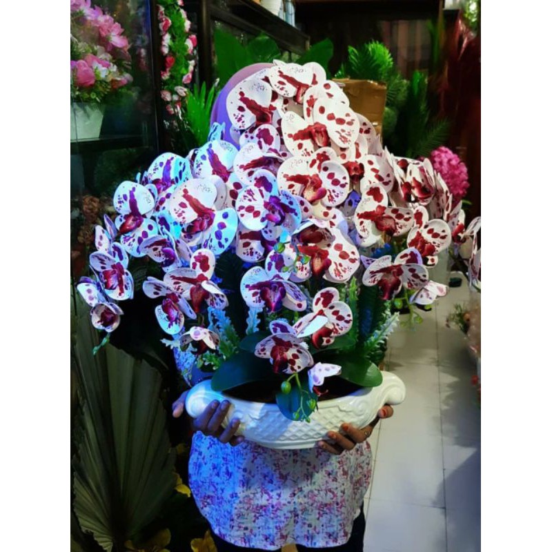 Bunga Anggrek latex Premium