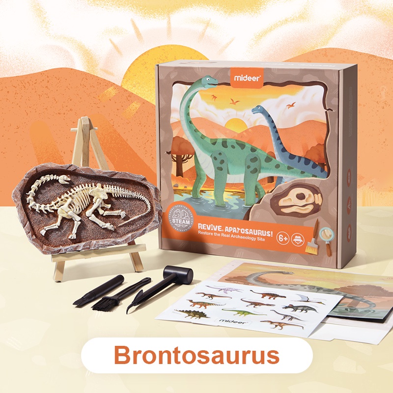 TweedyToys - Mideer Steam Arkeolog / Mideer Steam Games Revive Fossil Dinosaurus / Mainan Edukasi Anak