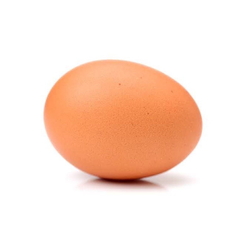 

Telur Ayam