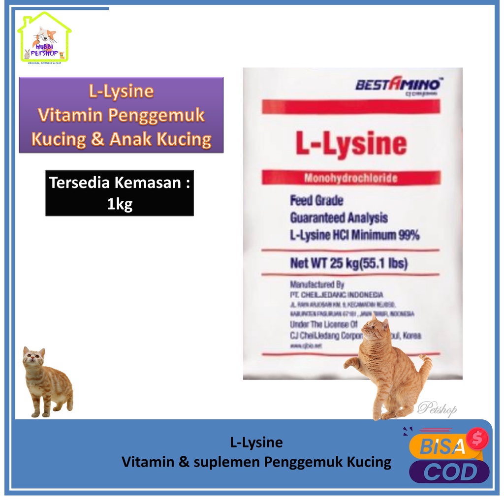 VITAMIN KUCING - Lysine L-Lysine 1kg - Vitamin Kucing Nafsu Makan - L Lysine Asam Amino Pemacu Pertumbuhan Unggas, Udang, Ikan, Kucing, Anjing dan Hewan Ternak