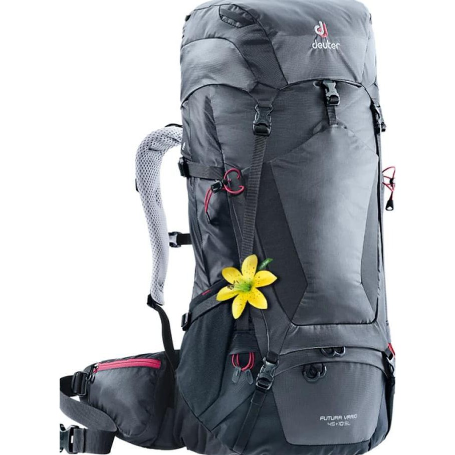 carrier deuter