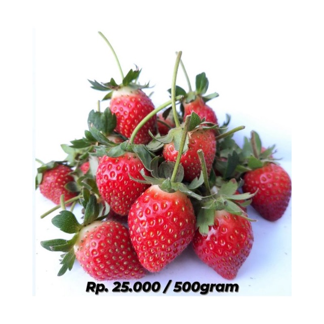 

Buah Strawberry California