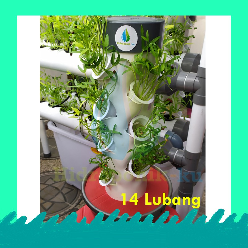 

Promo Paket Hidroponik ku, Mini Vertikal hidroponik set 14 lubang siap pakai