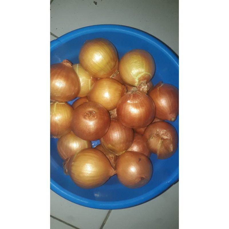 

Bawang Bombay