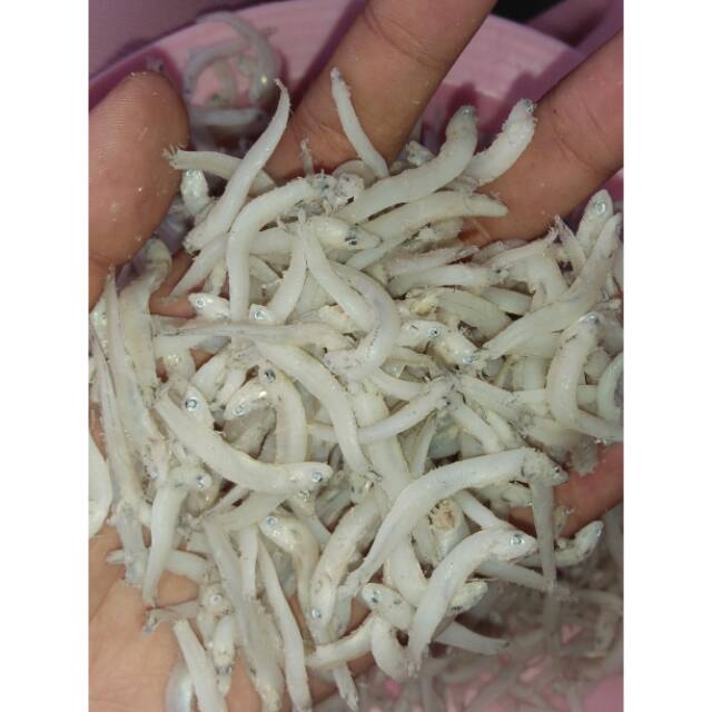 

Teri nasi medan 250gr