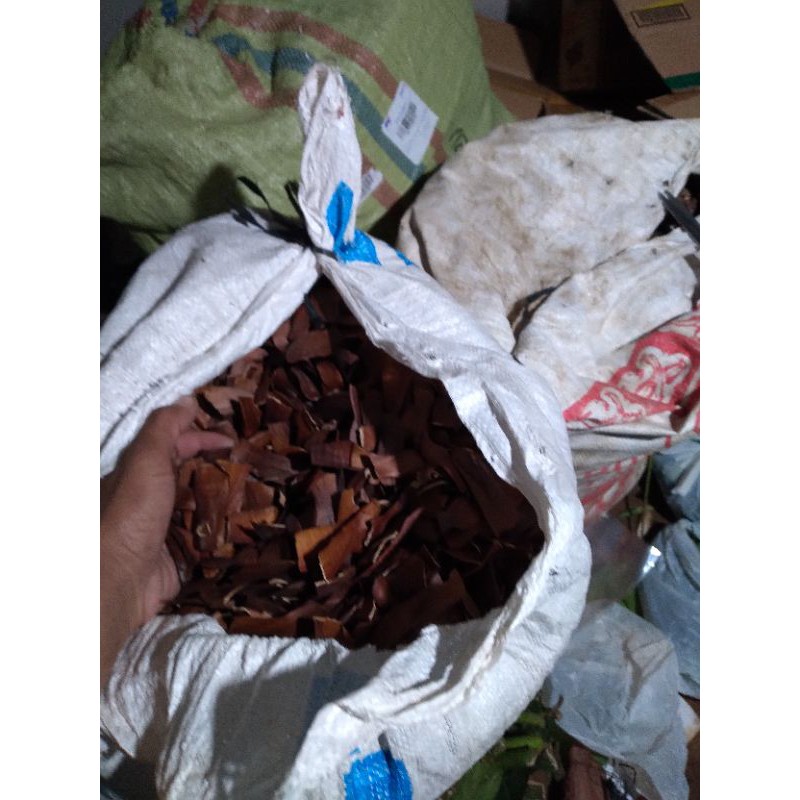 

biji buah mahoni kering 500grm