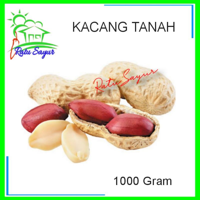 

KACANG TANAH MENTAH/ratusayur.id