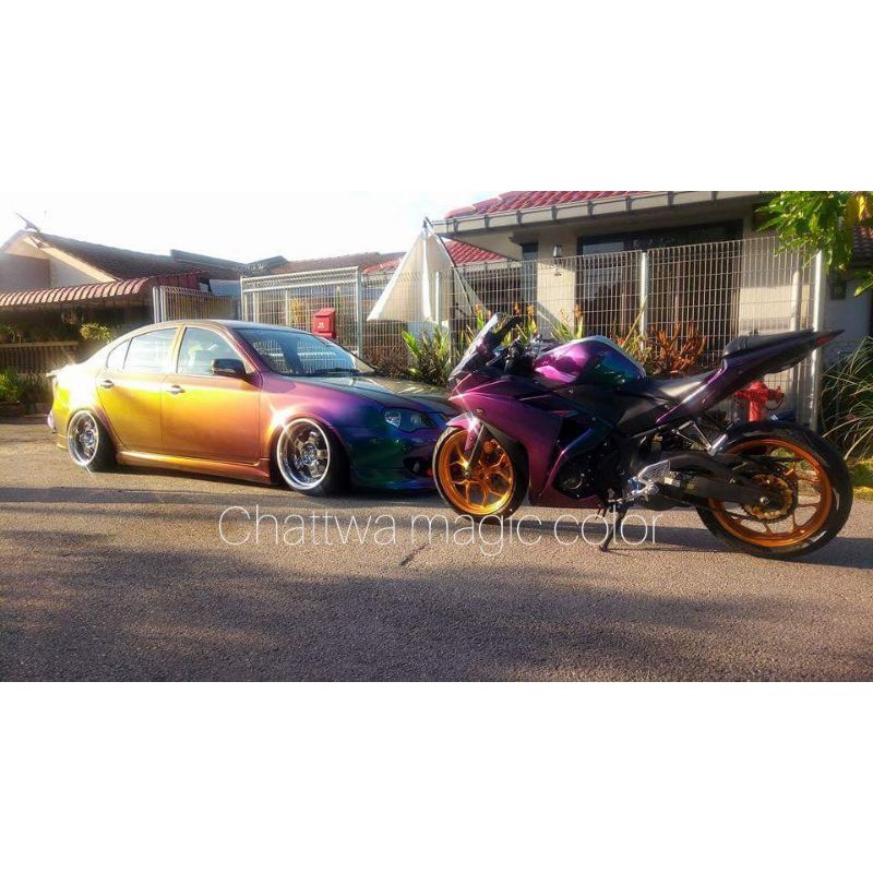 CAT BUNGLON 5 Warna Untuk Motor Mobil Dan Motor