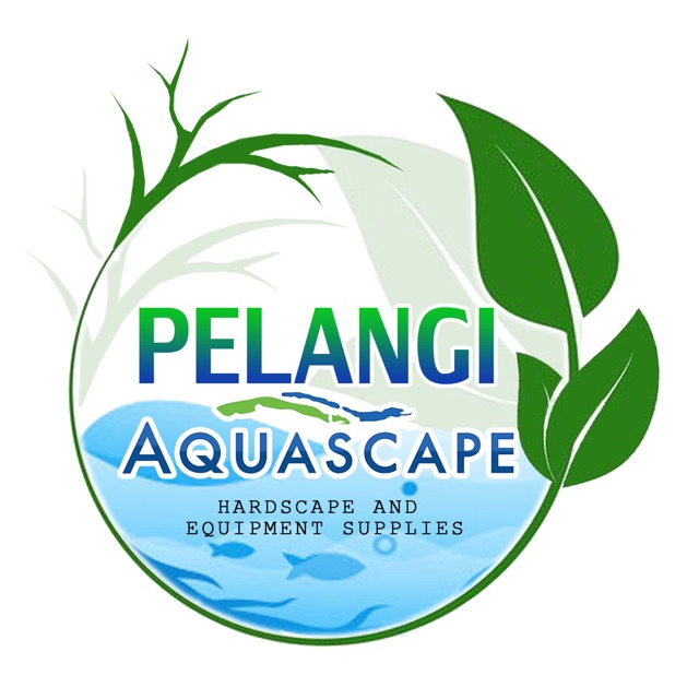pelangiaquascape