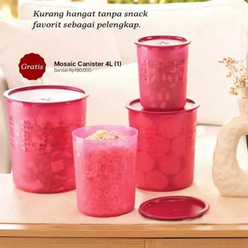TUPPERWARE MOSAIC CANISTER SET RAYA