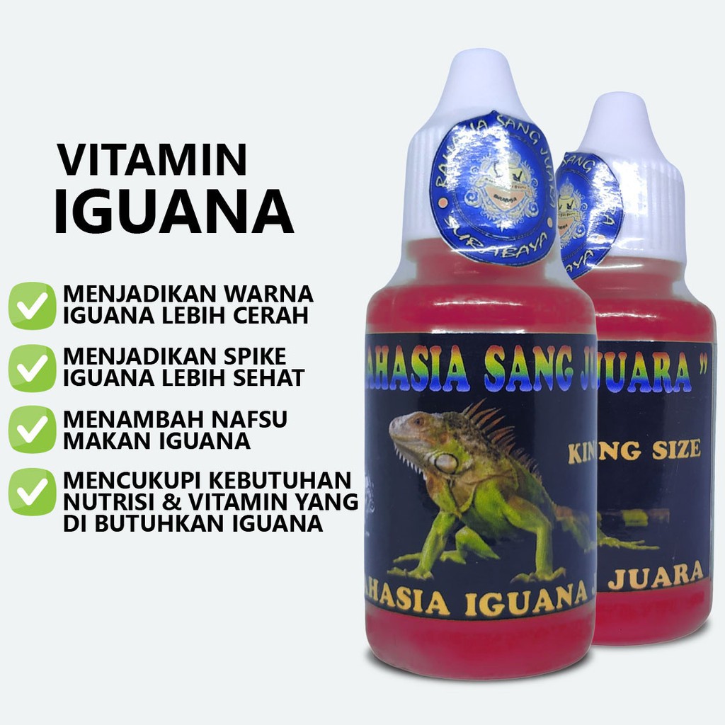 VITAMIN IGUANA PENAMBAH NAFSU MAKAN MENJADIKAN WARNA LEBIH CERAH DAN SEHAT