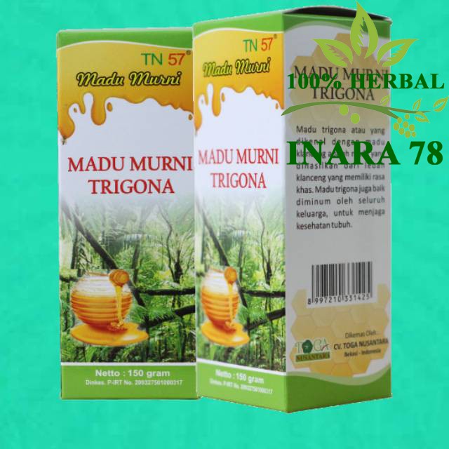 

Madu Trigona - Madu Asli