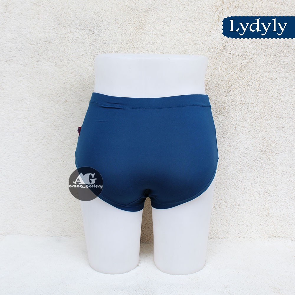 Celana dalam wanita LYDYLY YN 238 - CD cewek ultra soft bahan lembut - daleman karet pinggang lebar | Cd | Celana Dalam