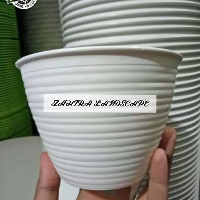 Pot Tawon Putih Diameter 10