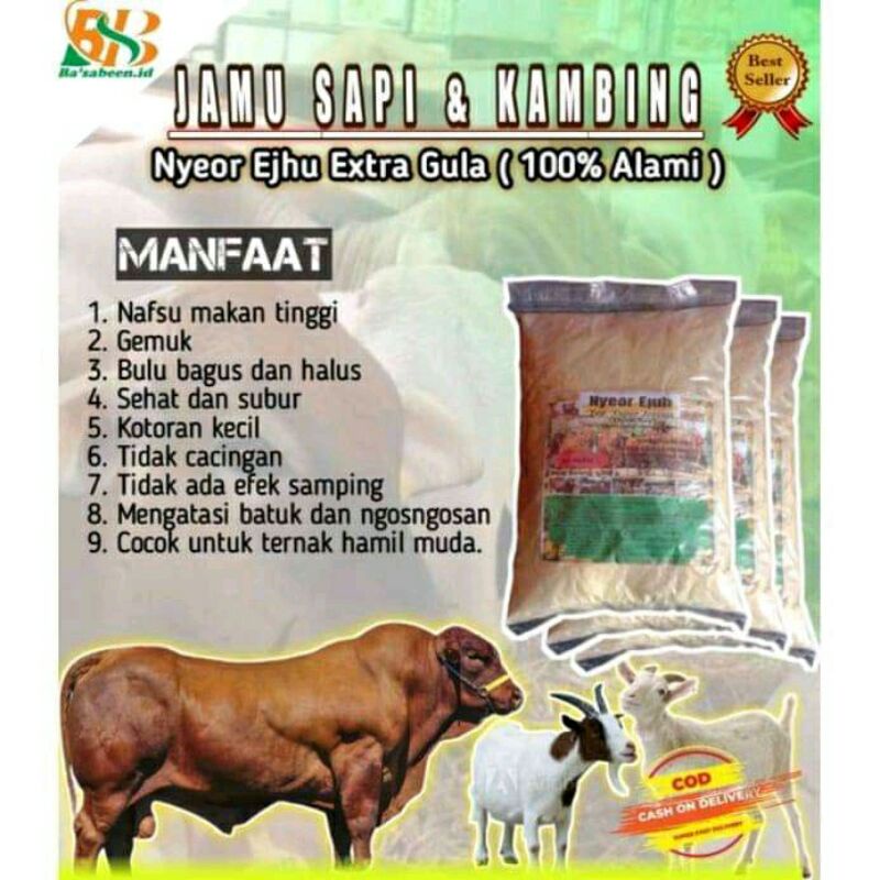 

jamu sapi dan kambing