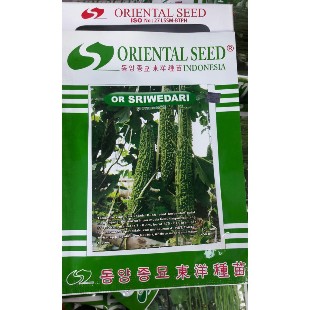 BENIH PARE HIBRIDA OR SRIWEDARI ORIENTAL SEED