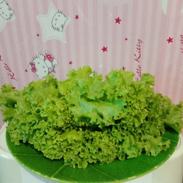 

Selada 250 gr sayur bandung