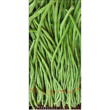 

Kacang Panjang 500 Gram