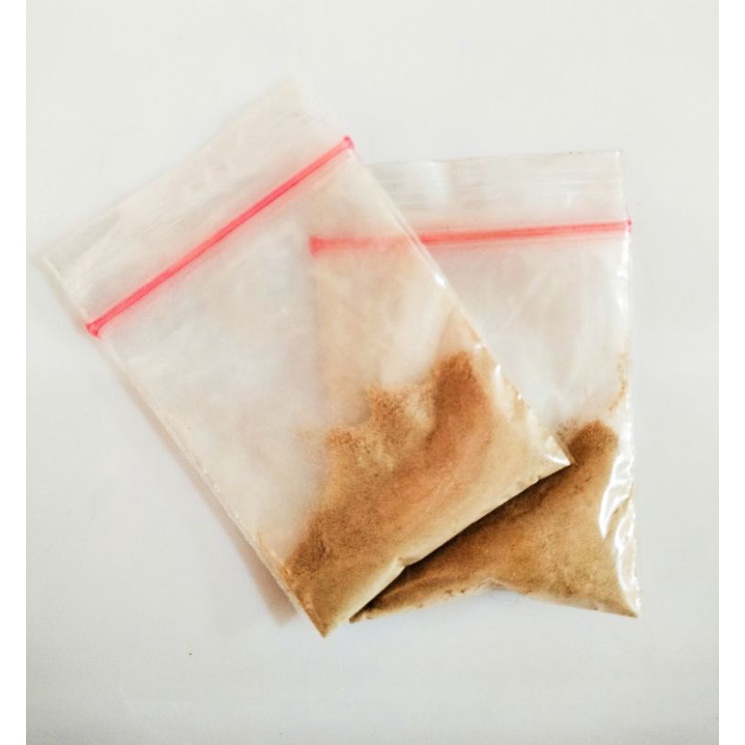 Stop UrinaryKucing Infeksi Radang Kemih Kucing Infeksi Saluran Kemih