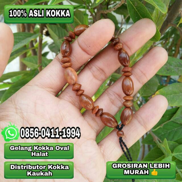  Gelang  Kayu  Kokka  Kaukah Kaokah fuqaha Koka Kauka Kaoka 