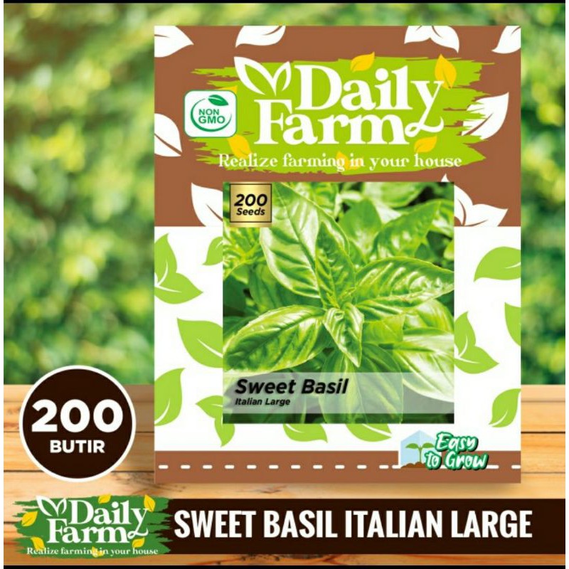 Jual Benih Sayur Basil Italian Large - Daily Farm | Shopee Indonesia