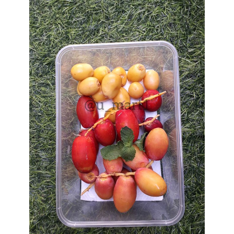 

Kurma Muda / Ruthob 250Gram MIX 3 jenis