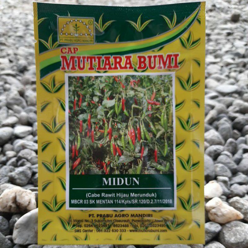 benih sayur cabe rawit hijau Merunduk MIDUN isi(10gr) CAP MUTIARA BUMI