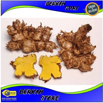 

BANGLE PANGLAI PANGLAY 500 GRAM OBAT HERBAL MUTIARA ALAM