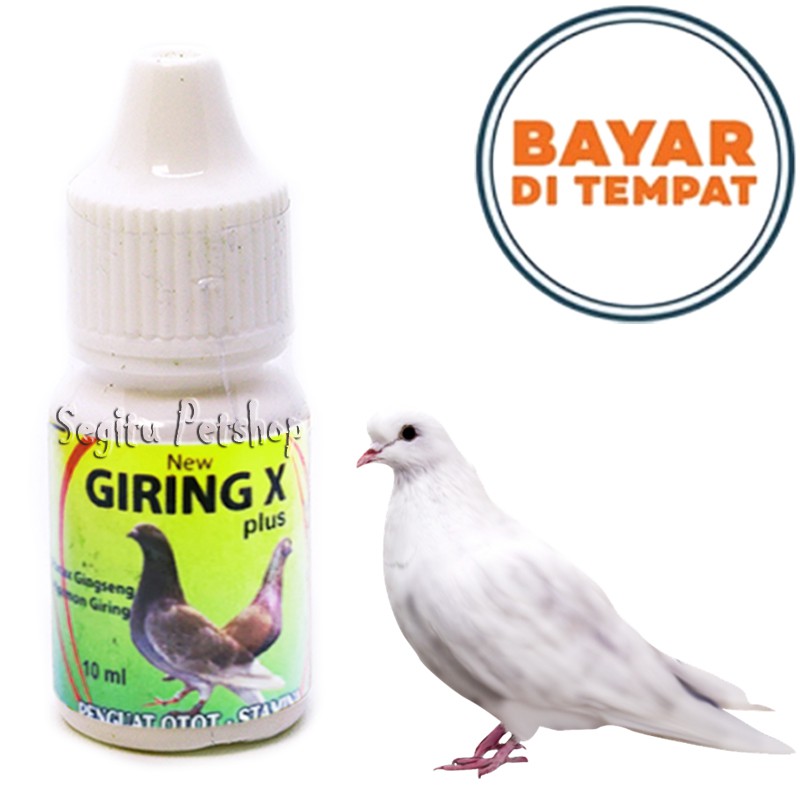 OBAT GIRING BURUNG DARA VITAMIN BURUNG MERPATI GIRING X