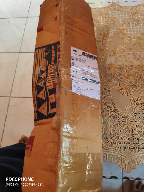 Bibit Tanaman Buah Anggur Import Transfiguration