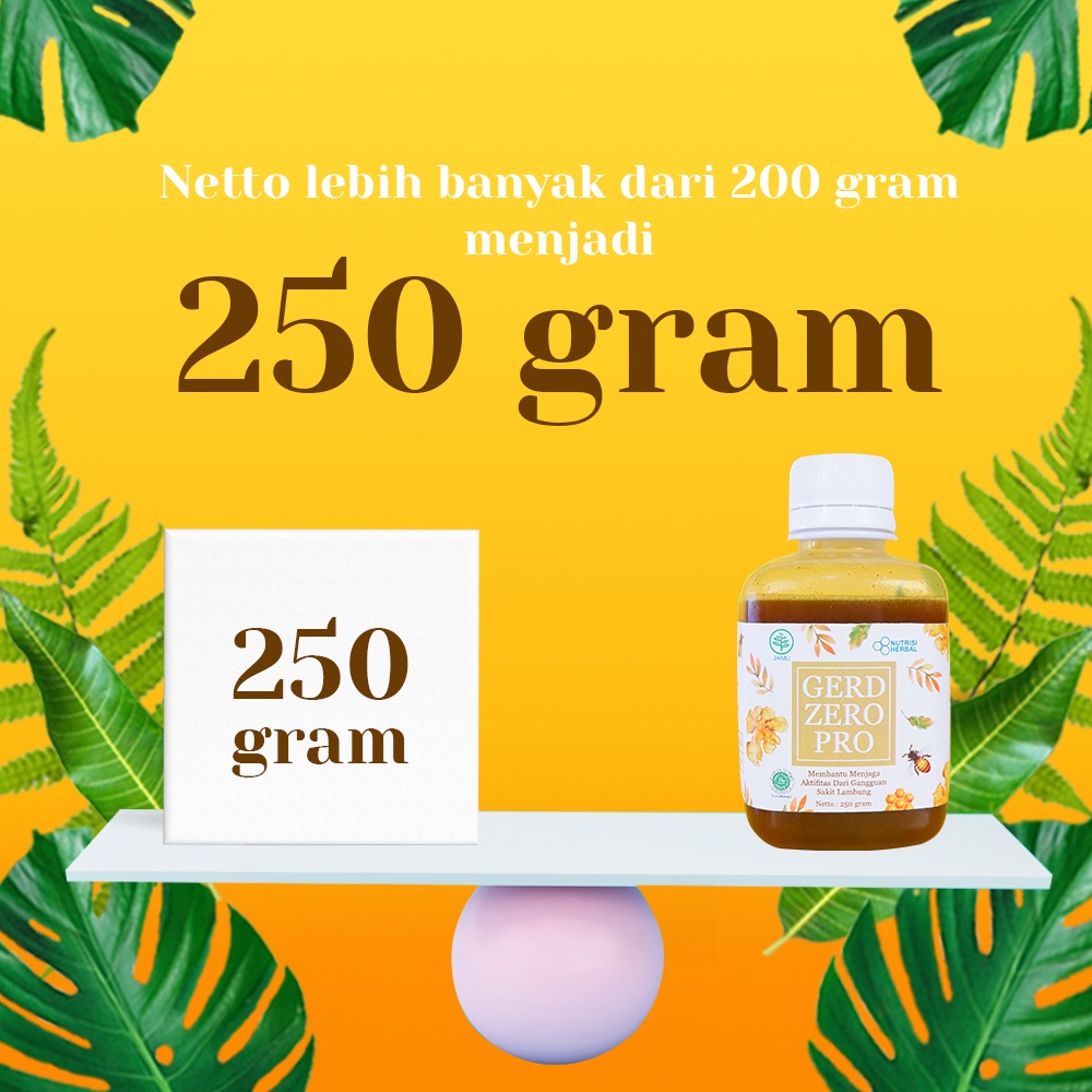 GERD ZERO PRO - OBAT ASAM LAMBUNG / MADU LAMBUNG / OBAT MAAG / OBAT LAMBUNG - Gerd Zero Pro Lambung Original Obat Herbal Alami Mengatasi Nyeri Lambung, Dada Terasa Terbakar Hingga Tenggorokan Mengganjal.-5
