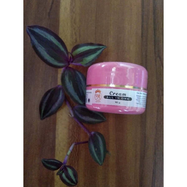 Cream ALL IN ONE WaBeauty