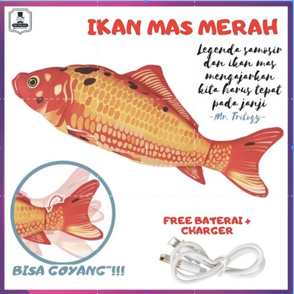 Mainan Ikan Goyang-Goyang Tiktok Goyang - Nemo Uget lucu kucing Arwana ikan gerak gerak mainan anak edukatif edukasi