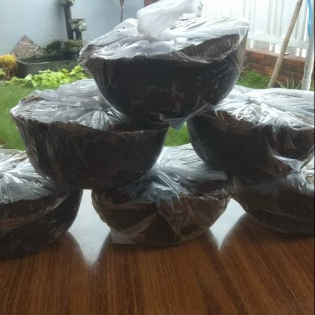 

Gula batok aren asli linggau