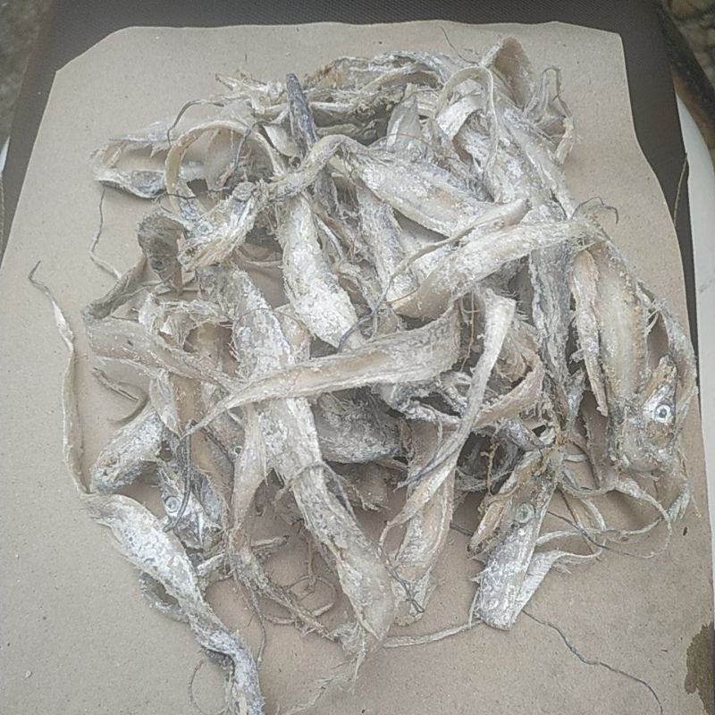 

ikan asin LAYUR KECIL KERING;250 gram