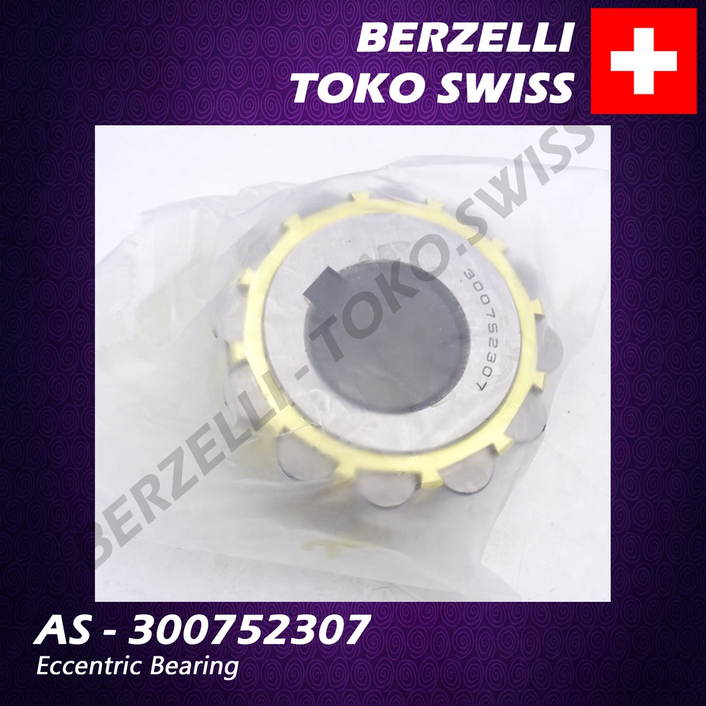 AS – 300752307 ECCENTRIC BEARING